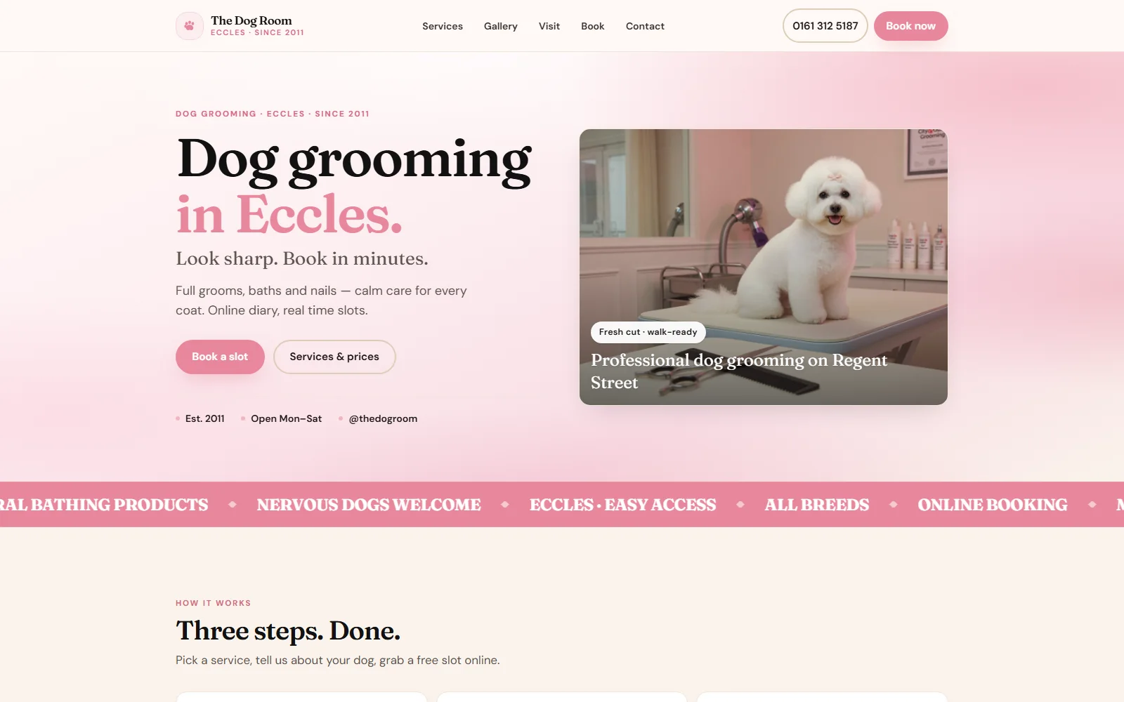 Pink editorial home page for The Dog Room speculative grooming salon pitch